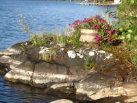Lakeside Gardens